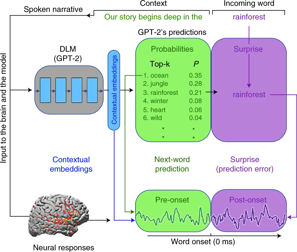 Human Language and Artificial Neural Networks